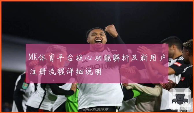 MK体育平台核心功能解析及新用户注册流程详细说明